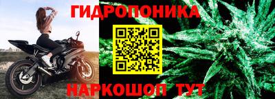 ГАЛЛЮЦИНОГЕННЫЕ ГРИБЫ Гусь-Хрустальный