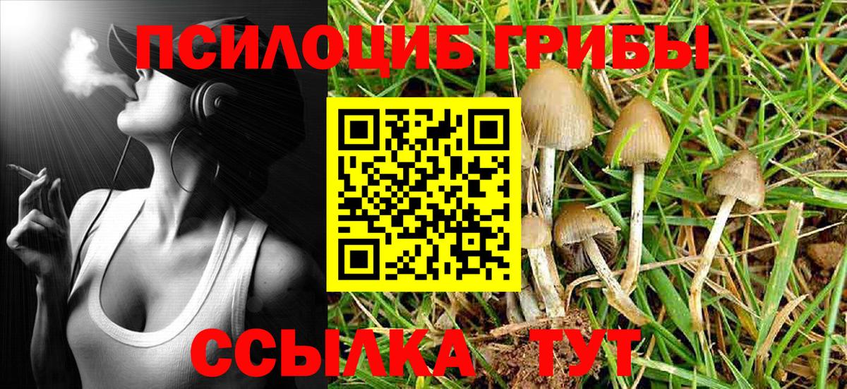 Псилоцибиновые грибы GOLDEN TEACHER  Вход с VPN  Москва 